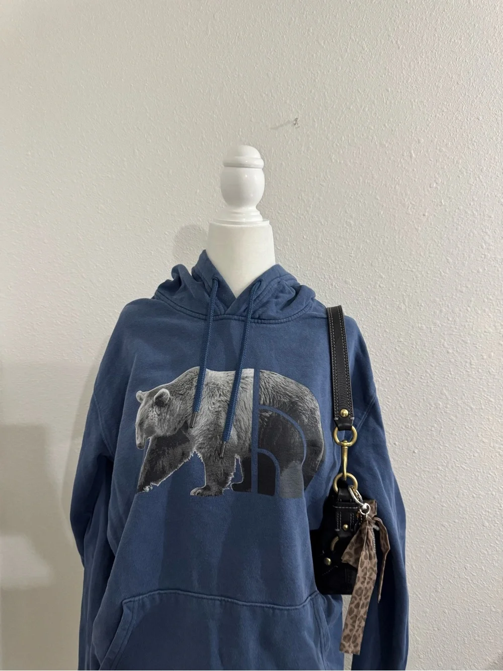 The north face bear hoodie
